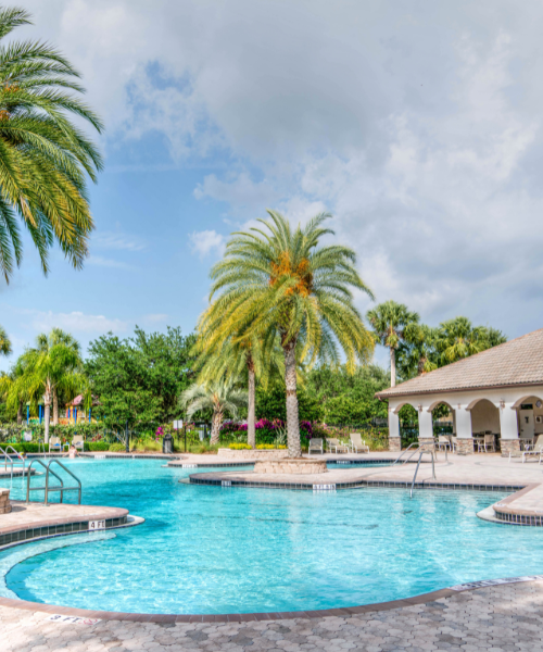 A swimming pool with palm trees and a gazebo